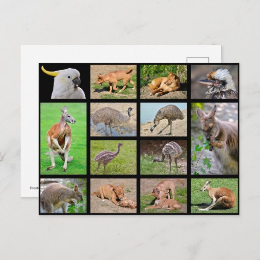 オーストラリアの動物の14枚のモザイク写真 シーズンポストカード (正面/裏面)
