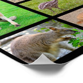 オーストラリアの動物の14枚のモザイク写真 ポスター (角)