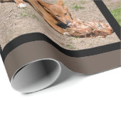 オーストラリアの動物の14枚のモザイク写真 ラッピングペーパー (ロールコーナー)