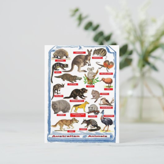 オーストラリアの動物はがき シーズンポストカード (スタンド正面)