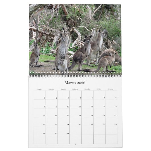 オーストラリアの動物2025 カレンダー (3月 2026)
