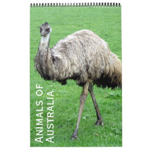 オーストラリアの動物 カレンダー