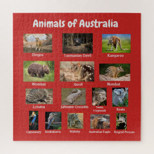 オーストラリアの動物 ジグソーパズル