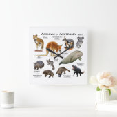 オーストラリアの動物 スクエア壁時計 (ホーム)