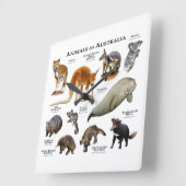 オーストラリアの動物 スクエア壁時計 (傾斜)