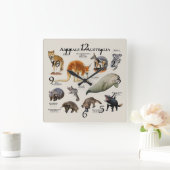 オーストラリアの動物 スクエア壁時計 (ホーム)