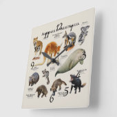 オーストラリアの動物 スクエア壁時計 (傾斜)