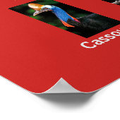 オーストラリアの動物 ポスター (角)