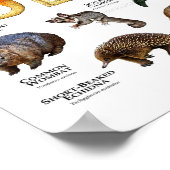 オーストラリアの動物 ポスター (角)