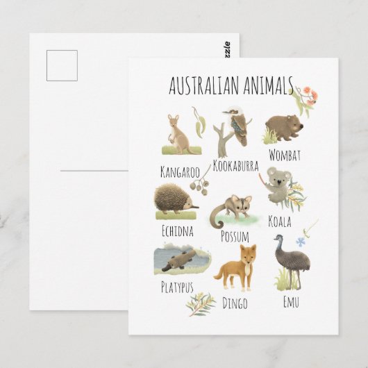 オーストラリアの動物 ポストカード (正面/裏面)