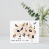 オーストラリアの動物 ポストカード (スタンド正面)
