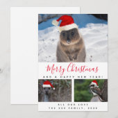 オーストラリアの動物 赤い脚本 マルチ フォト コラージュ シーズンカード (正面/裏面)