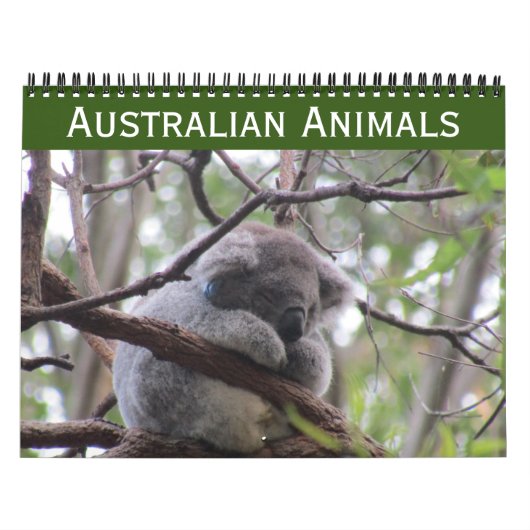 オーストラリアの動物 2027年 カレンダー (カバー)
