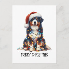 オーストラリアの包まれた羊飼い犬 シーズンポストカード