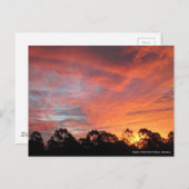 オーストラリアの夕日 ポストカード (正面/裏面)