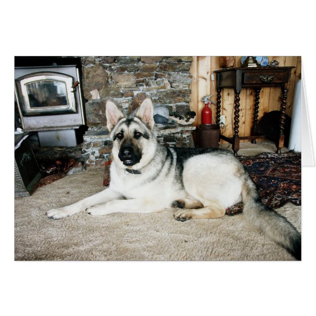 オーストラリアの外形図か暖炉 (正面横)