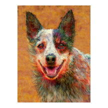 オーストラリアの家畜犬