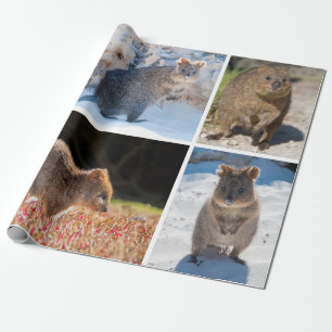 オーストラリアの幸せで、かわいいquokka ラッピングペーパー