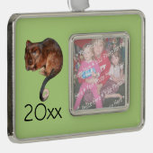 オーストラリアの愛らしい赤ちゃんリングテイルポッサム シルバープレートフレームオーナメント (右)