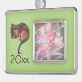 オーストラリアの愛らしい赤ちゃんリングテイルポッサム シルバープレートフレームオーナメント (左)