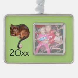 オーストラリアの愛らしい赤ちゃんリングテイルポッサム シルバープレートフレームオーナメント