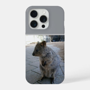 "オーストラリアの抱擁: 愛らしい灰色のクォッカ" iPhone 15 PROケース