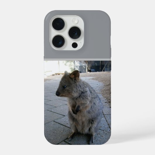 "オーストラリアの抱擁: 愛らしい灰色のクォッカ" iPhoneケース (裏面)