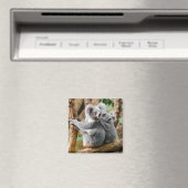 オーストラリアの木にベビーのあるコアラ マグネット (インサイチュ (食洗機))