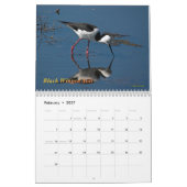 オーストラリアの水鳥 カレンダー (2月 2027)