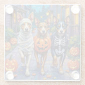 オーストラリアの牛のハロウィーンでのトリックまたは治療 ガラスコースター (裏面)