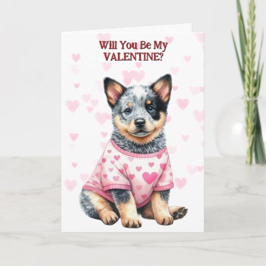 オーストラリアの牛の犬の子犬のセーターのバレンタイン シーズンカード (正面)