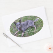 オーストラリアの牛の犬の愛w pic 楕円形シール (封筒)