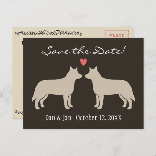 オーストラリアの牛の犬の結婚式の日付を保存 案内ポストカード (正面/裏面)