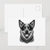 オーストラリアの牛の犬の葉書，オースト魅力的ラリ ポストカード (正面/裏面)