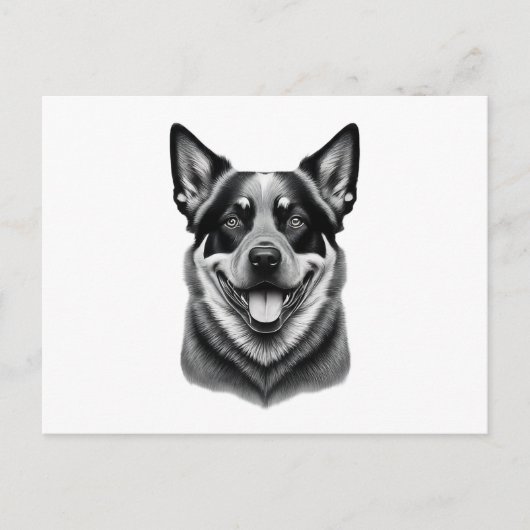 オーストラリアの牛の犬の葉書，オースト魅力的ラリ ポストカード (正面)