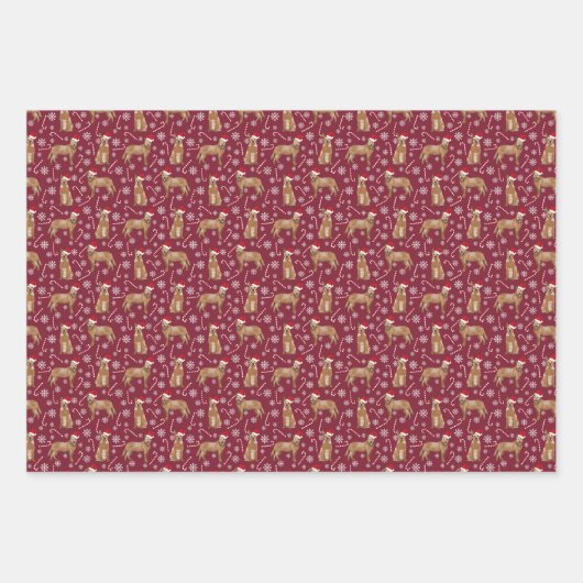 オーストラリアの牛の犬の赤いヒーラークリスマス ラッピングペーパーシート (正面2)