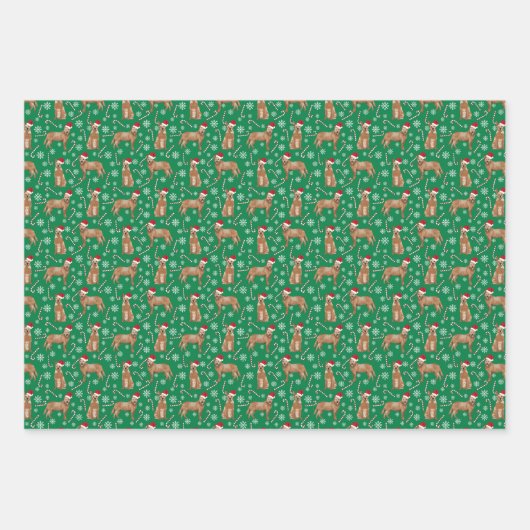 オーストラリアの牛の犬の赤いヒーラークリスマス ラッピングペーパーシート (正面)