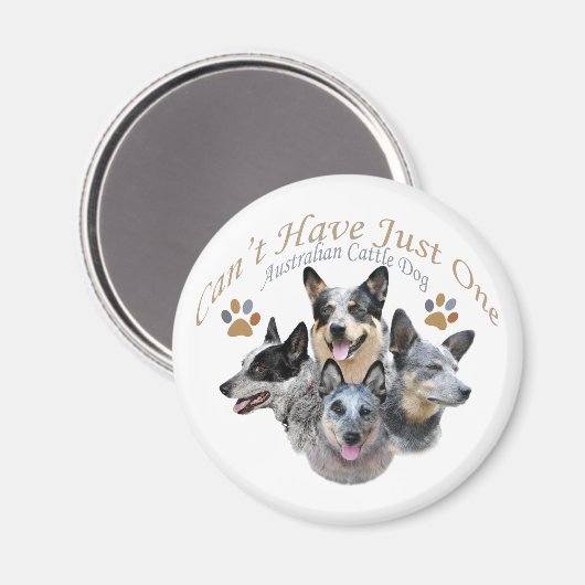 オーストラリアの牛の犬は1つの贈り物を持つことができない マグネット (正面/裏面)