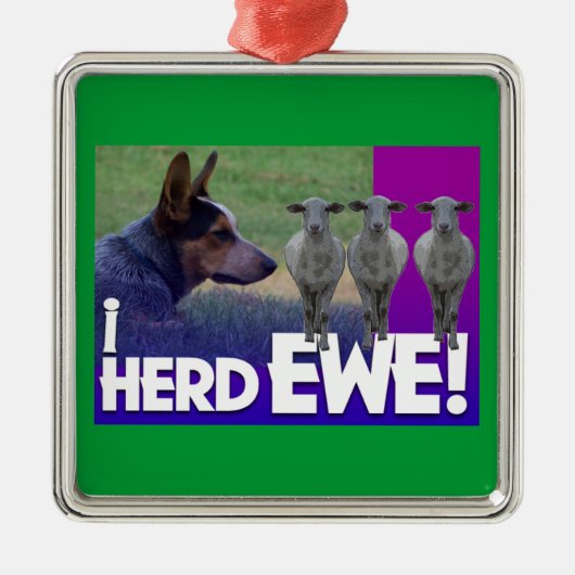 オーストラリアの牛の犬オーナメントI HERD EWE メタルオーナメント (正面)