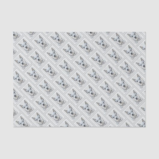 オーストラリアの牛の犬 – かわいいオリジナルドッグアート 薄葉紙 (正面)