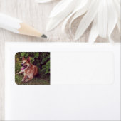 オーストラリアの牛の赤い産卵地 ラベル (インサイチュ)