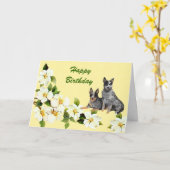 オーストラリアの牛犬のハッピーバースデー カード (黄色い花)