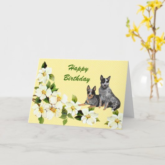 オーストラリアの牛犬のハッピーバースデー カード (黄色い花)