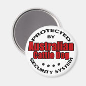 オーストラリアの牛犬セキュリティ マグネット (正面/裏面)