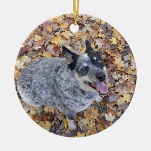 オーストラリアの牛犬青いHEELERのクリスマスORNAME セラミックオーナメント (正面)
