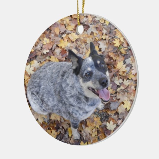 オーストラリアの牛犬青いHEELERのクリスマスORNAME セラミックオーナメント (左)