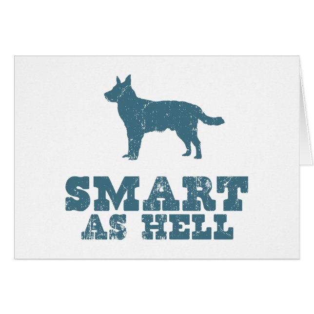 オーストラリアの牛犬 (正面横)