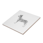 オーストラリアの牛犬 タイル (側面)