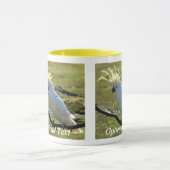 オーストラリアの硫黄頂点に達されたオウム マグカップ (中央)