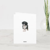 オーストラリアの羊飼いのオーストラリアの小犬こんにちは愛 カード (裏面)